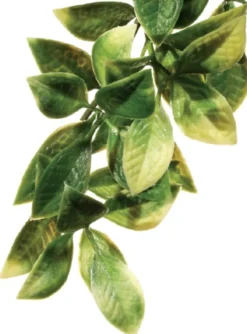 Hot Exo Terra Mandarin stor Terrarieplanter