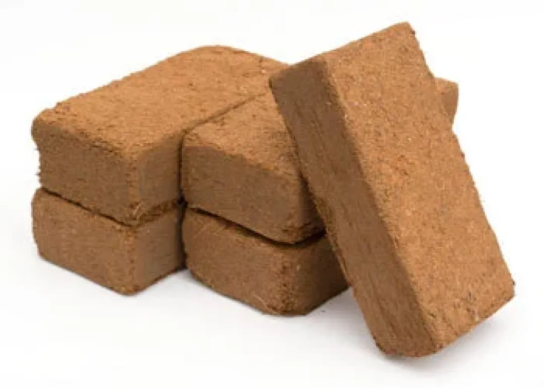 New Exo Terra Plantation Soil 650 g Dekoration Til Terrarier