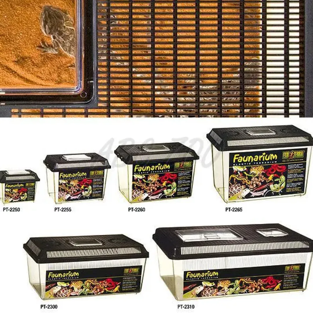Clearance Exo Terra Plastik terrarium medium (HPT2300) Terrarier Og Terrarielamper