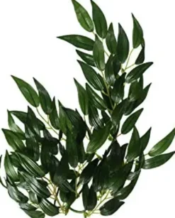 New Exo Terra Ruscus lille Terrarieplanter
