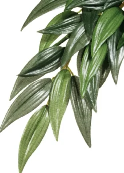 New Exo Terra Ruscus lille Terrarieplanter