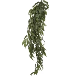 Clearance Exo Terra Ruscus stor Terrarieplanter