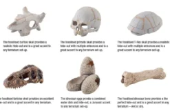 Outlet Exo Terra Skildpaddeskjold lille Huler Til Terrarier