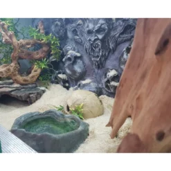Best Exo Terra Snake Bedding 8,8 L Dekoration Til Terrarier