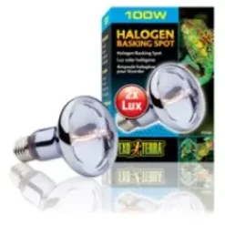 Sale Exo Terra Sun Glo Halogen 100 w Terrarielysstofrør, Pærer Og Varme