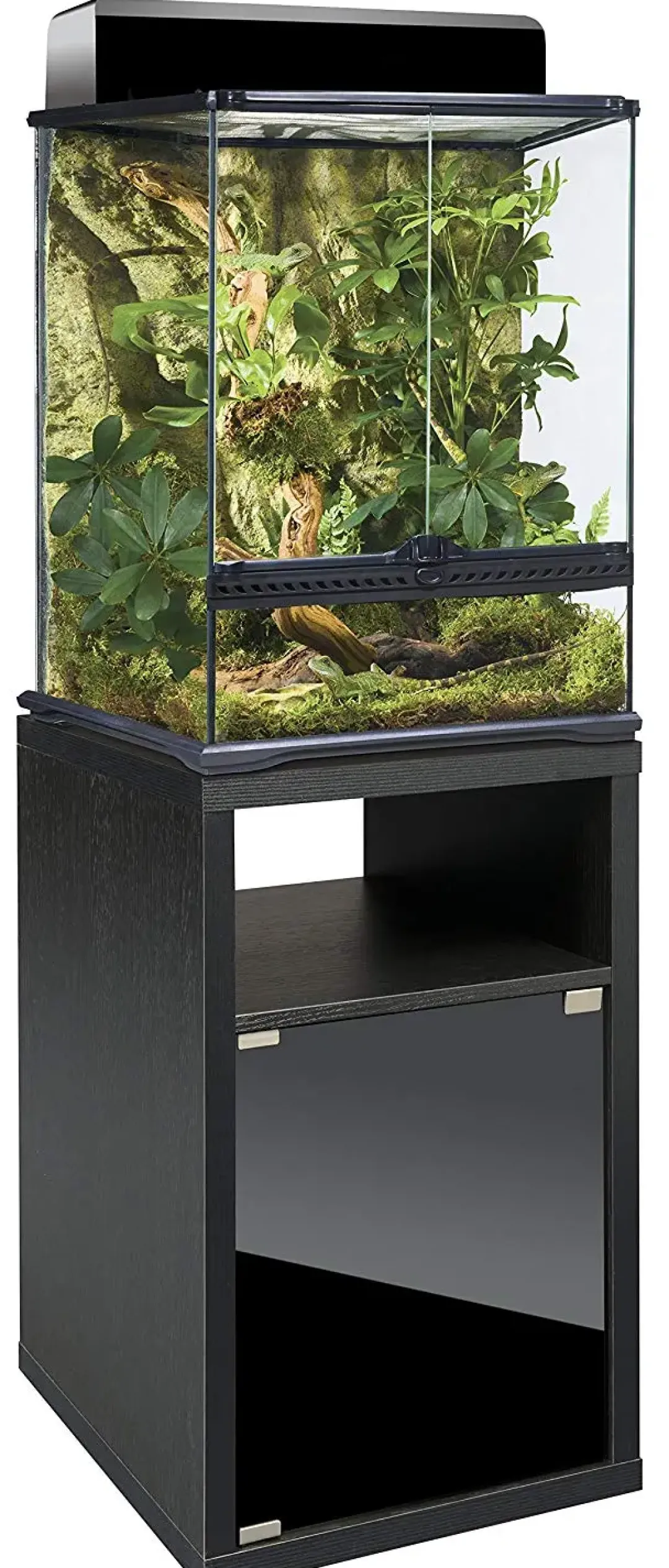 Outlet Exo Terra Terrarium Kabinet 45 cm Terrarier Og Terrarielamper