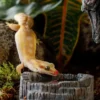Hot Tiki vandskål 8x8x3 cm Foderskåle Og Vandskåle Til Terrarier