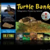 Clearance Exo Terra Turtle Bank med magnet lille Dekoration Til Terrarier