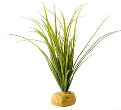 Best Exo Terra Turtle Grass Terrarieplanter