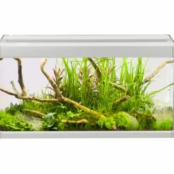 Outlet Family Akvarium 60x30x32 cm 54 Liter Akvarier