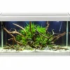 Hot Family Akvarium 70x32x37 cm 80 Liter Akvarier