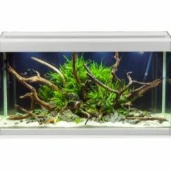 Hot Family Akvarium 70x32x37 cm 80 Liter Akvarier