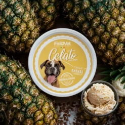 New Gelato Ananas - Hundeis Hundeguf Og Tyggeben Til Hunde