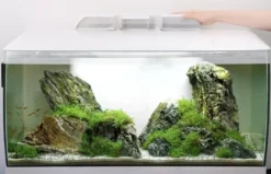 New Flex akvarium 123 Liter Hvid Akvarier