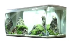 New Flex akvarium 123 Liter Hvid Akvarier