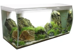 New Flex akvarium 123 Liter Hvid Akvarier