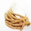 Discount Franske Gule Hirsekolber 25 kg Fuglefoder
