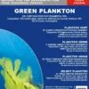 Sale Frostfoder Grøn Plankton 100 gram Fiskefoder Til Saltvandsfisk