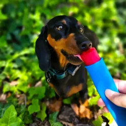 Outlet FÜRREE Icecream med Jordbær Hundeguf Og Tyggeben Til Hunde