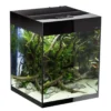 Sale Glossy akvarie Cube 50x50x63 cm 132 L Sort Akvarier