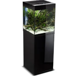 Sale Glossy akvarie Cube 50x50x63 cm 132 L Sort Akvarier