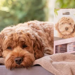 Discount Detangling Spray 270 ml Plejemidler Til Hund Med Fokus På Sundhed Og Velvære