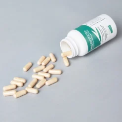 Sale Probiotics 60 kapsler til hund Plejemidler Til Hund Med Fokus På Sundhed Og Velvære|Fodertilskud Til Hvalpe - Støtte Til Sund Vækst Og Trivsel