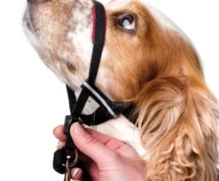 Outlet OptiFit snudesele til hund lille Hundeseler Til Alle Behov Og Hundestørrelser