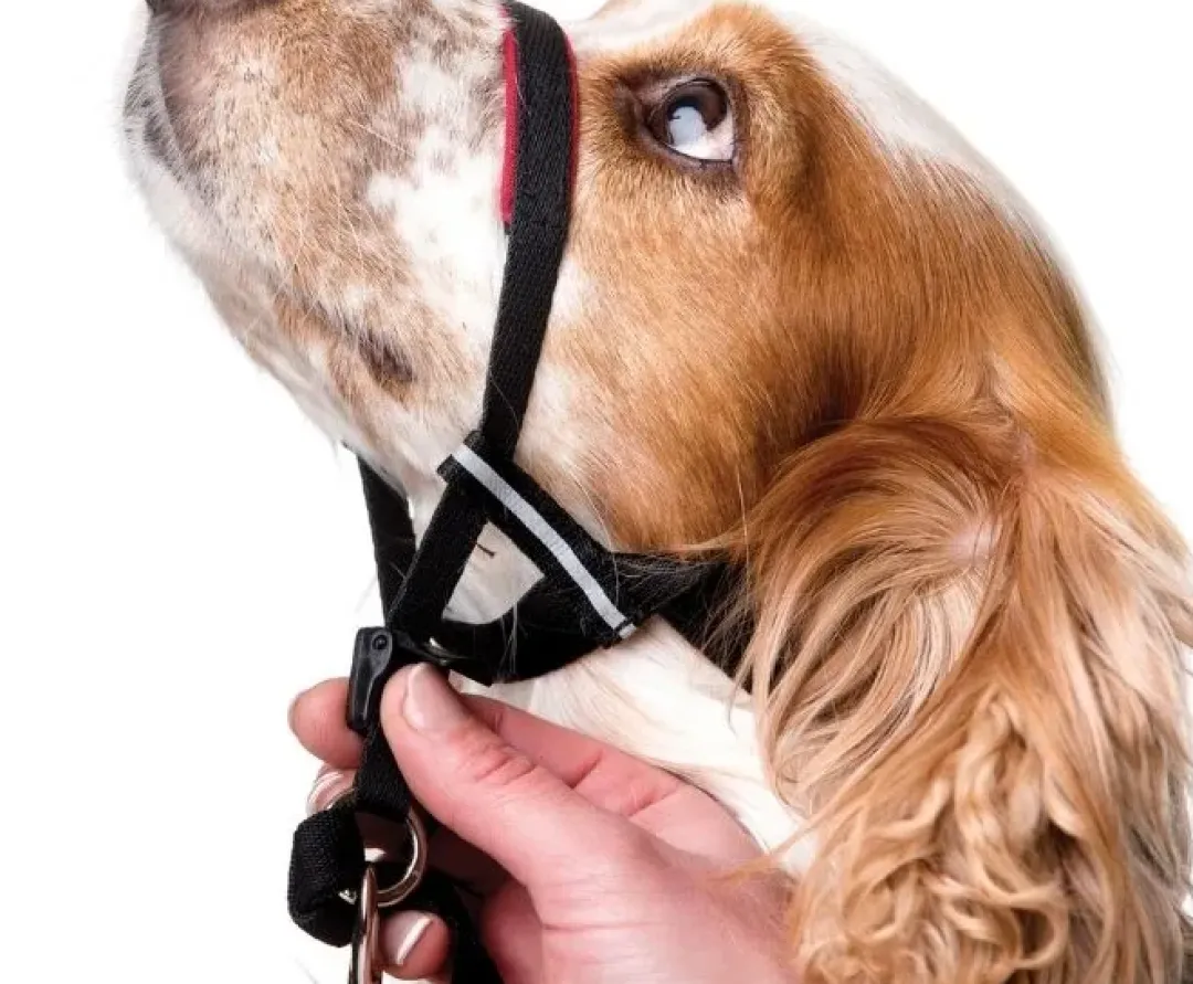 Outlet OptiFit snudesele til hund lille Hundeseler Til Alle Behov Og Hundestørrelser