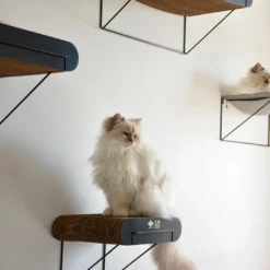 HappyCat DAVID Lige Vægmodul 60x29x24 cm Sort/Brun Killingesenge Og Afslapningspladser - Trygge Hvilepladser Til Små Katte|Kradsetræer Og Klatremøbler Til Kat