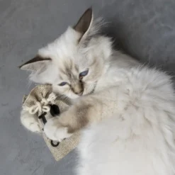 New HappyCat Pouch med catnip Killingelegetøj - Sjov, Træning Og Aktivering For Killinger|Kattelegetøj