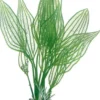 Hot Aponogeton 16 cm Akvarieplanter