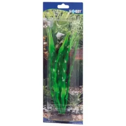 Best Crinum 29 cm Akvarieplanter