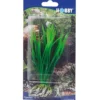 Outlet Cyperus 16 cm Akvarieplanter