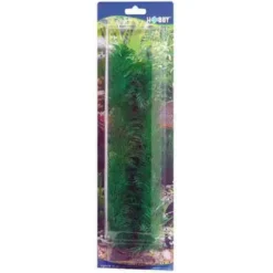Clearance Egeria 20 cm Akvarieplanter