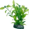 Clearance Hygrophila 13 cm Akvarieplanter