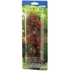 Outlet Ludwiga 34 cm Akvarieplanter