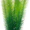 Discount Mayaca 16 cm Akvarieplanter