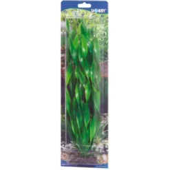 Best Vallisneria 34 cm Akvarieplanter