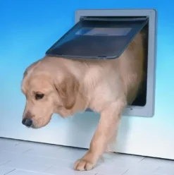 Online Hundelem stor Dog Mate hvid Hundetilbehør Til Hvalpe - Tryg Start I Hverdagen|Tilbehør Til Hund - Alt Til En Glad Og Tryg Hverdag For Din Bedste Ven