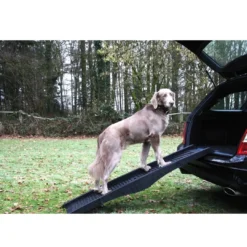Outlet Hunderampe (foldbar) 40 x 152 cm Transport Og Adgang Til Hvalpe - Tryg Og Nem Hverdag|Transport Og Adgang For Hunde - Tryg Og Nem Hverdag