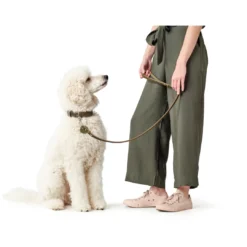 Outlet Aalborg Førerline til Hund Oliven 20/100 Hundesnor I Mange Varianter Og Materialer|Hundesnor Til Hvalpe