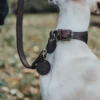Online Aalborg Førerline til Hund Mørkebrun 20/100 Hundesnor I Mange Varianter Og Materialer|Hundesnor Til Hvalpe