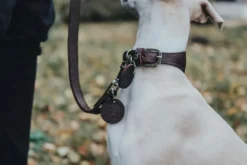Online Aalborg Førerline til Hund Mørkebrun 16/100 Hundesnor I Mange Varianter Og Materialer|Hundesnor Til Hvalpe