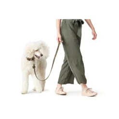 Online Aalborg Førerline til Hund Oliven 16/100 Hundesnor I Mange Varianter Og Materialer|Hundesnor Til Hvalpe