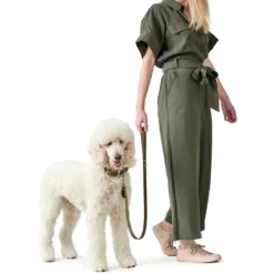 Online Aalborg Førerline til Hund Oliven 16/100 Hundesnor I Mange Varianter Og Materialer|Hundesnor Til Hvalpe