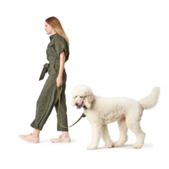 Online Aalborg Førerline til Hund Oliven 16/100 Hundesnor I Mange Varianter Og Materialer|Hundesnor Til Hvalpe
