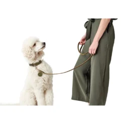 Online Aalborg Førerline til Hund Oliven 16/100 Hundesnor I Mange Varianter Og Materialer|Hundesnor Til Hvalpe