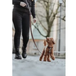 Hot Aalborg Hundeline Mørkebrun 20/250 Hundesnor I Mange Varianter Og Materialer|Hundesnor Til Hvalpe