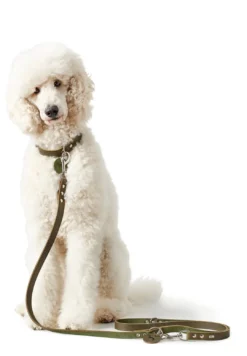 Outlet Aalborg Hundesnor Oliven 13/200 Hundesnor I Mange Varianter Og Materialer|Hundesnor Til Hvalpe